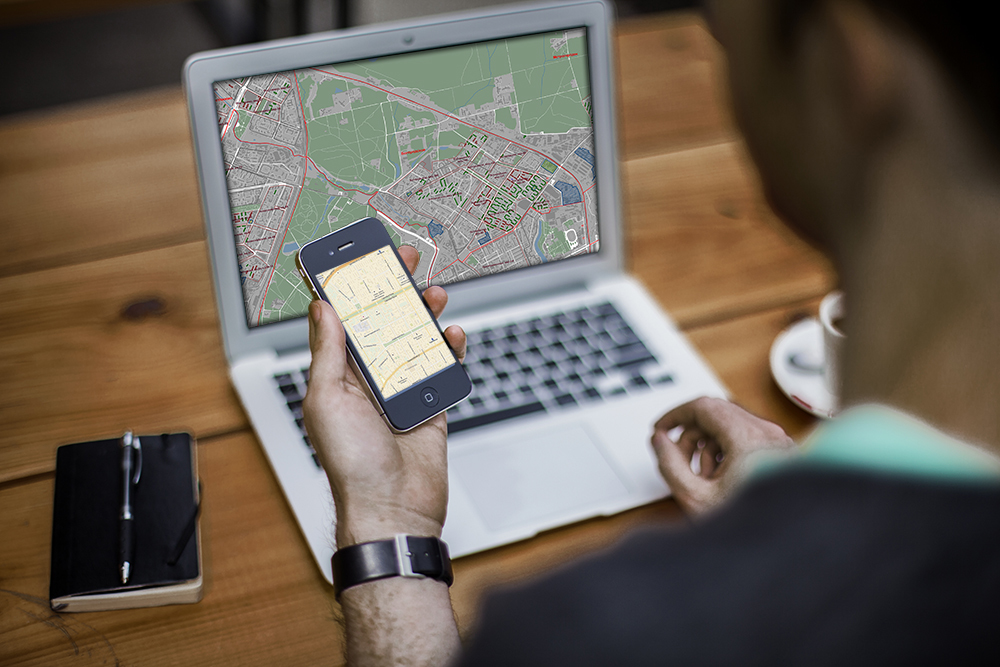 РАЗРАБОТКА И ВНЕДРЕНИЕ ИНФОРМАЦИОННО-АНАЛИТИЧЕСКИХ И ГЕОИНФОРМАЦИОННЫХ СИСТЕМ